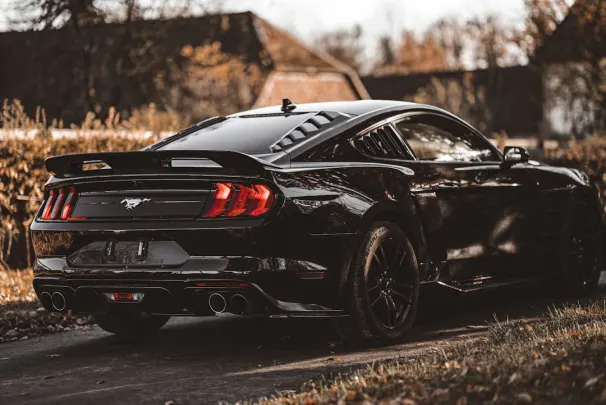 Bizz Casino App Android/iOS